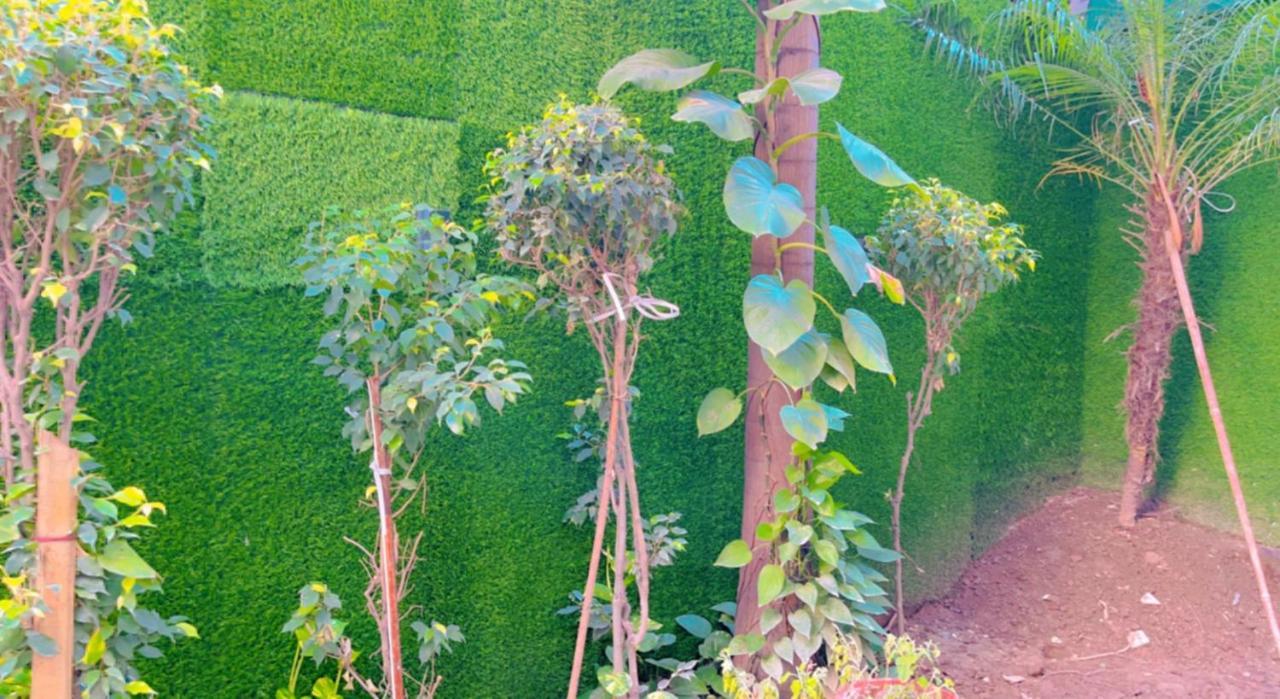 City View With Garden -5 Mins Walk From Golden Temple Amritsar Exterior foto
